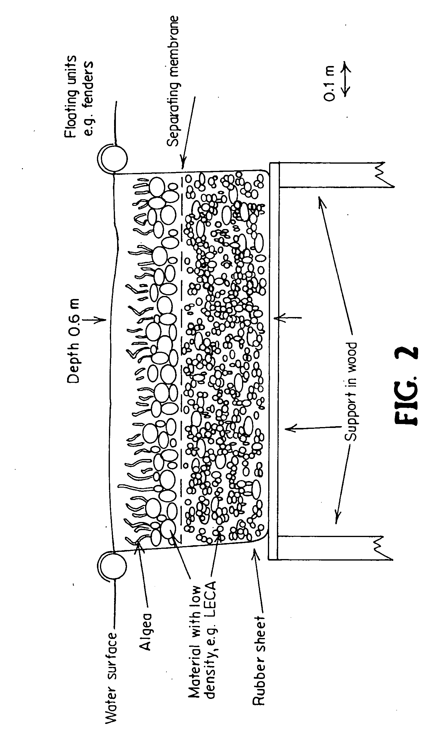 Water treatment plant for combined biomass and biogas production