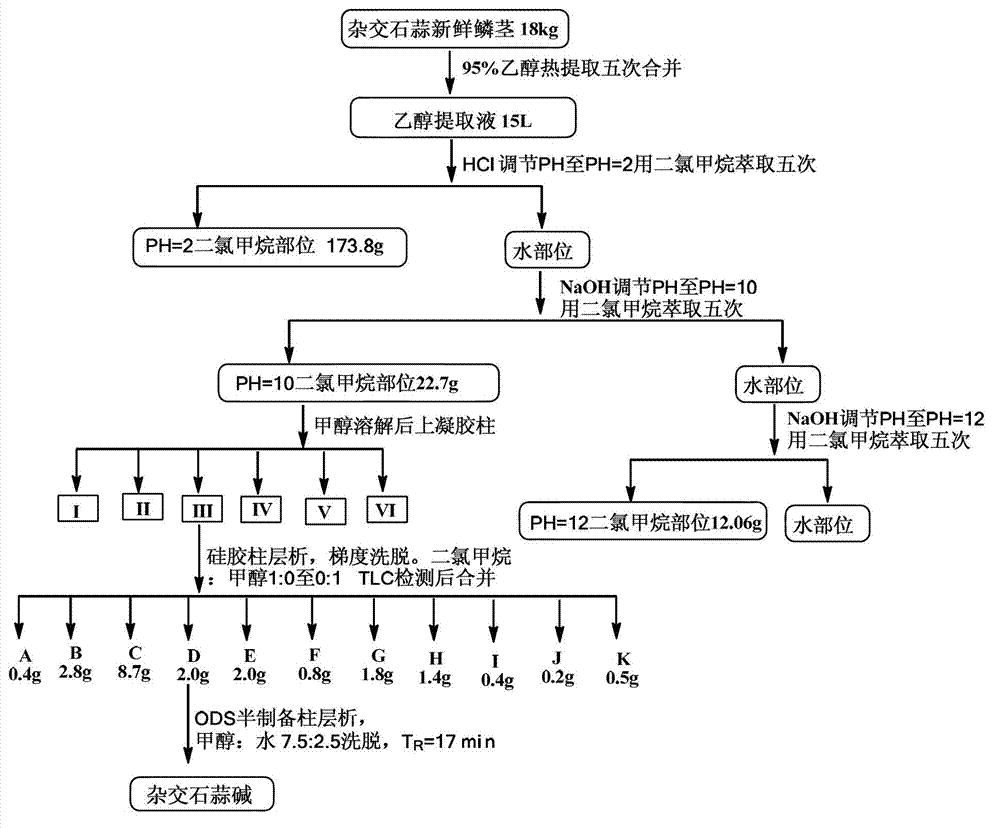 Lycorine alkaline compound with neuroprotective effect