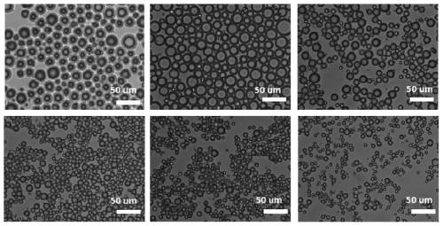 A kind of preparation method of hollow glass microsphere