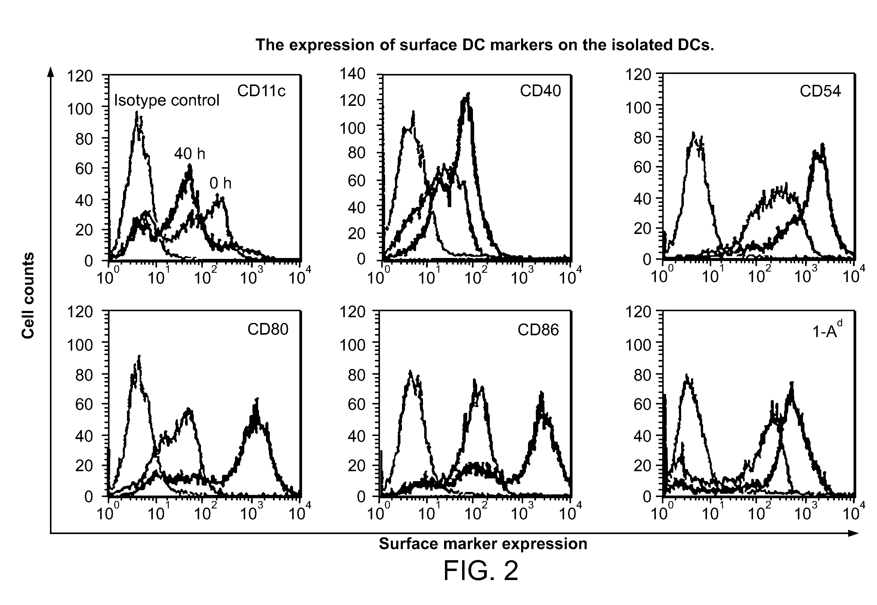 Dendritic cell vaccines for asparaginyl-beta-hydroxylase expressing tumors