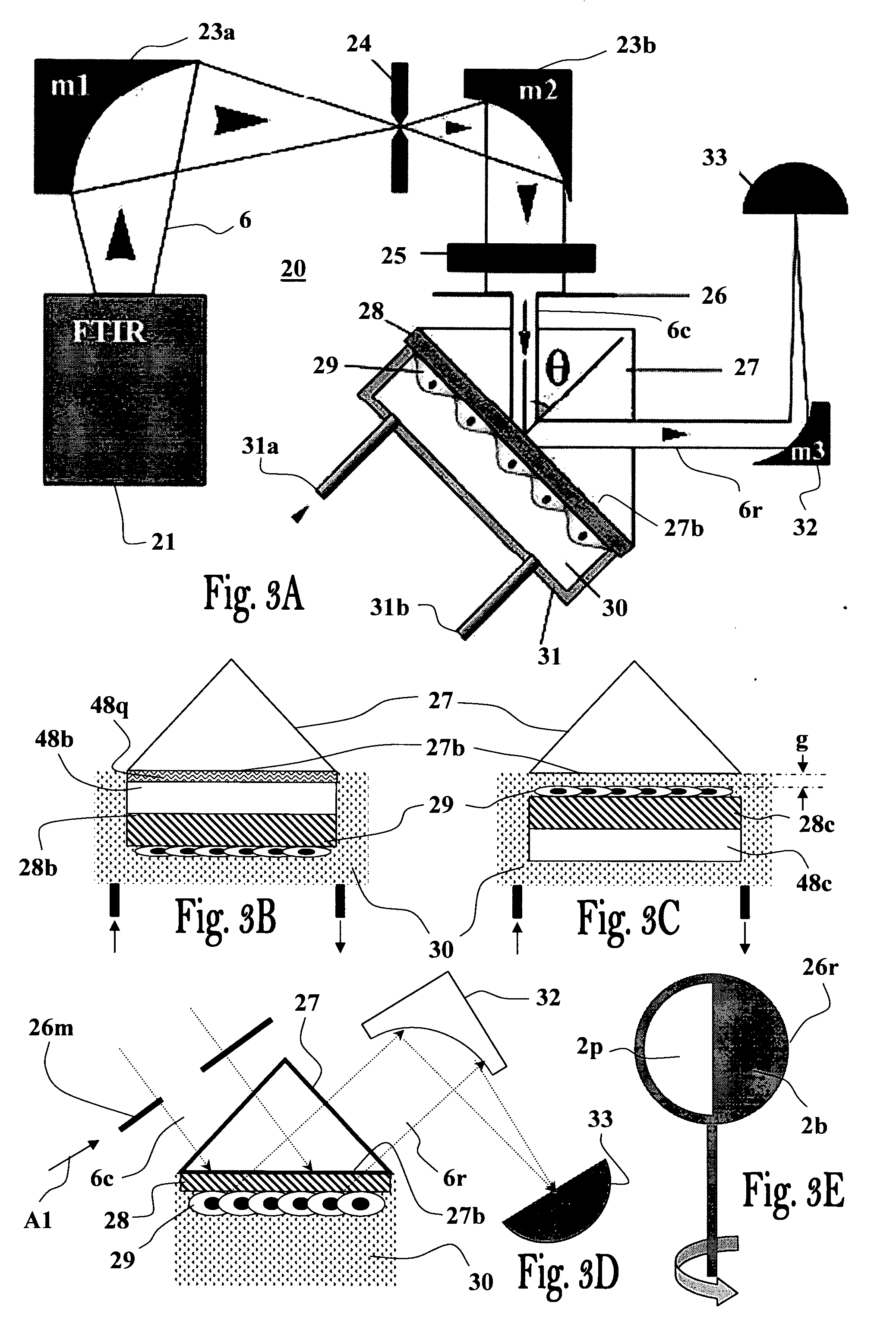 Method and apparatus for monitoring processes in living cells