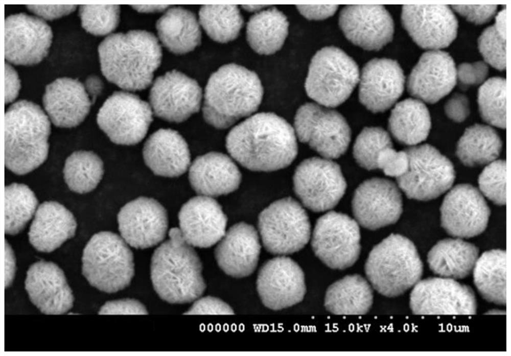 A kind of single crystal material precursor and compound oxide powder and its preparation method and application