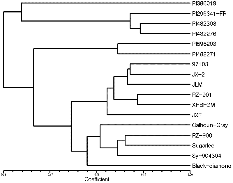 Watermelon complete genomic sequence information based analyzed and developed SSR core primer combinations and application thereof