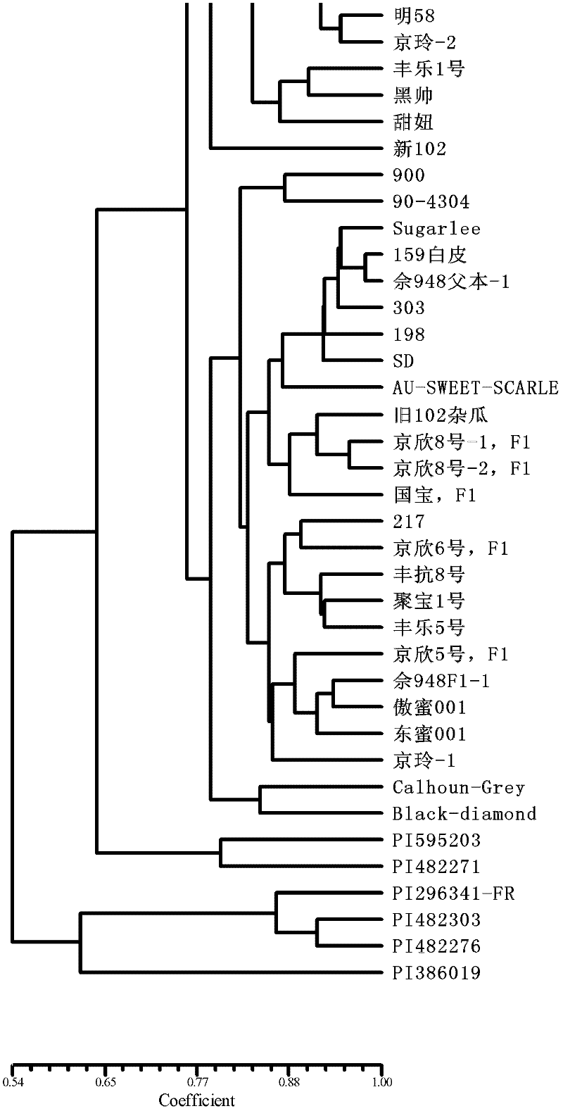 Watermelon complete genomic sequence information based analyzed and developed SSR core primer combinations and application thereof