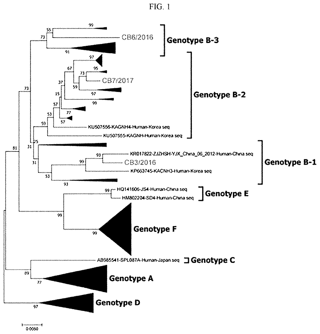 Novel severe fever with thrombocytopenia syndrome virus