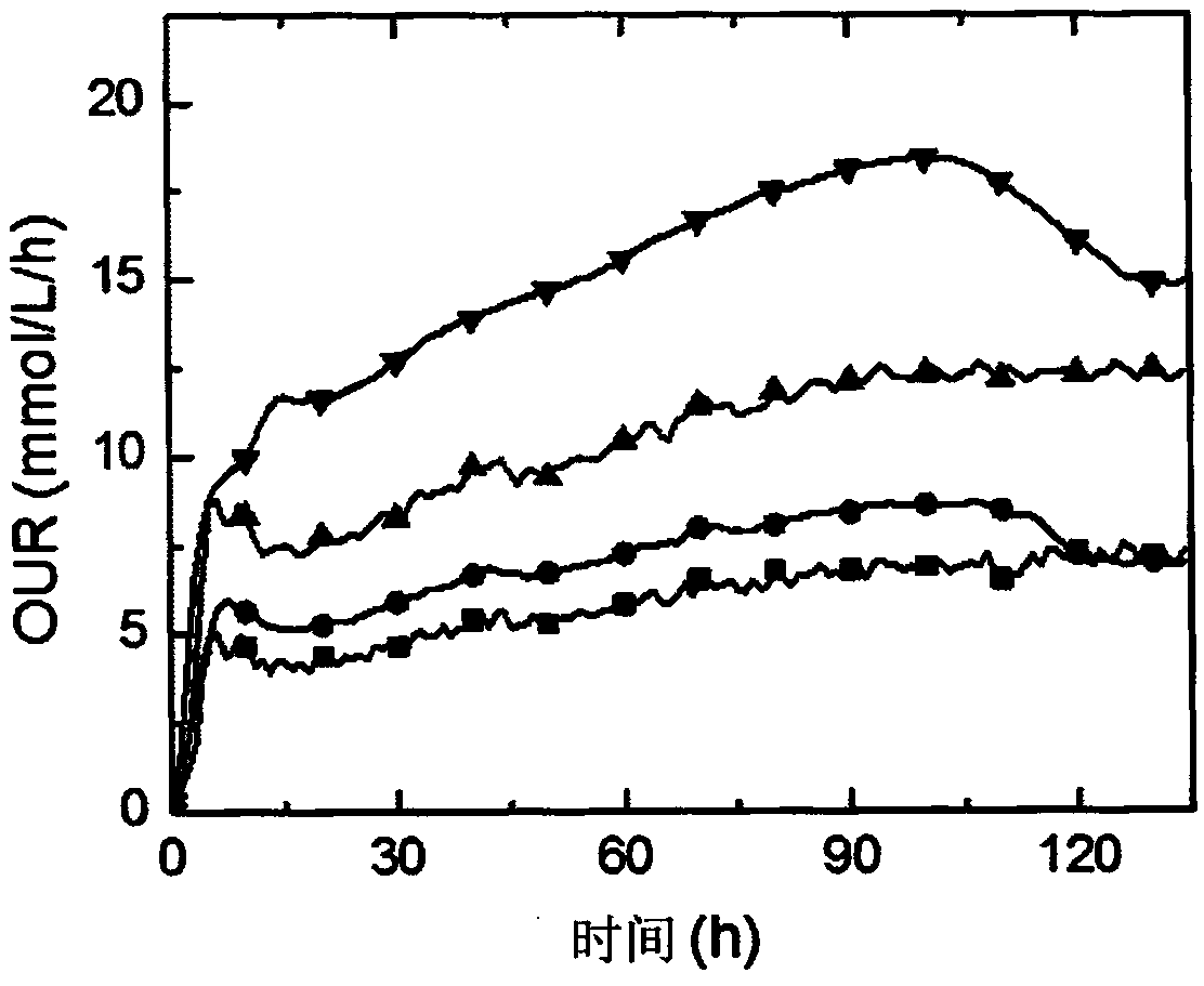 Fermentation production method of rifamycin SV based on oxygen uptake rate OUR used as control parameter