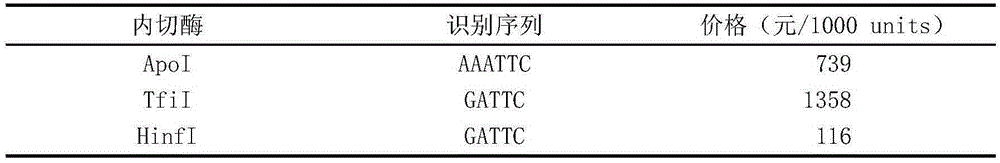 Method and kit used for determining human TERF1 gene rs201882345 site polymorphism