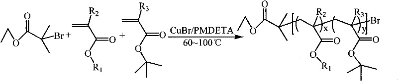 Amphiphilic copolymer brush with pH responsiveness, preparation method thereof and use thereof