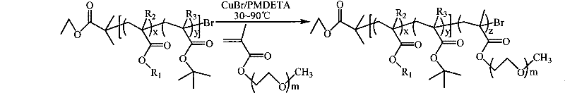 Amphiphilic copolymer brush with pH responsiveness, preparation method thereof and use thereof