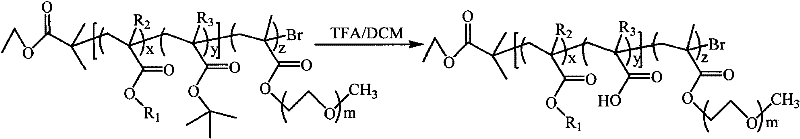 Amphiphilic copolymer brush with pH responsiveness, preparation method thereof and use thereof