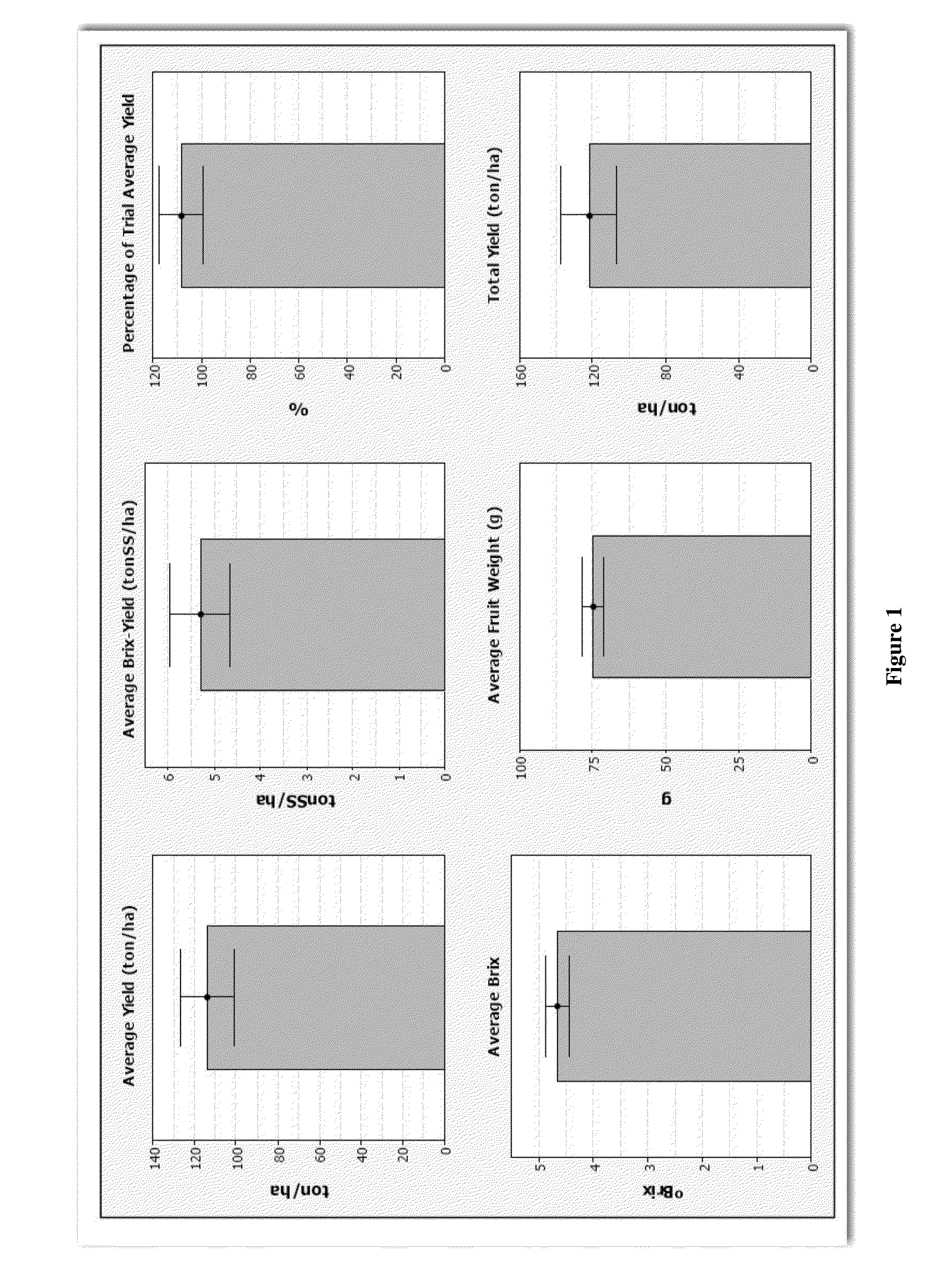 Tomato line PSQ-9Z06019