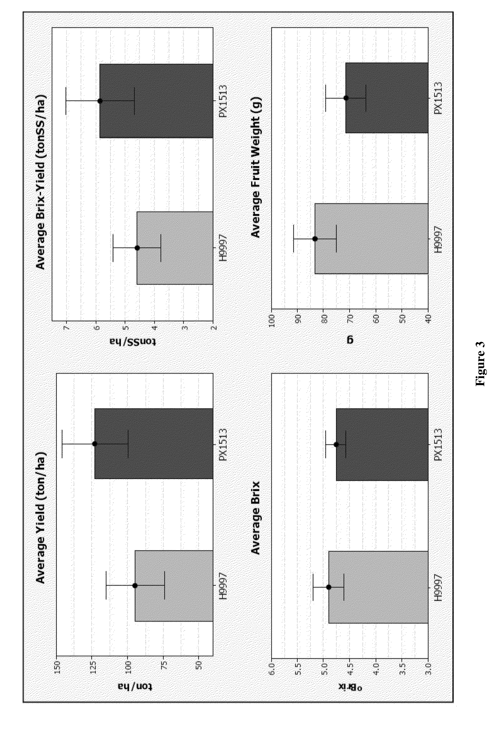 Tomato line PSQ-9Z06019