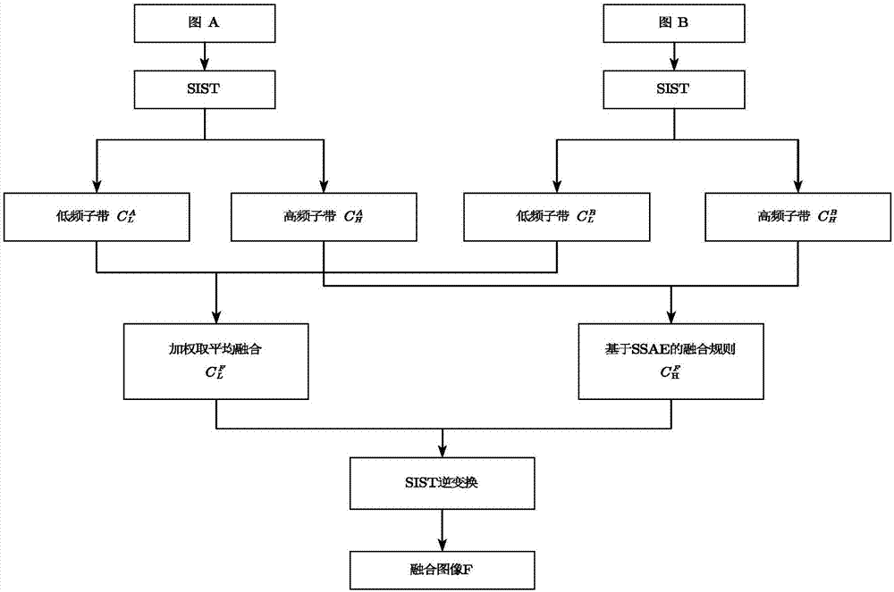 Image fusion method based on shift-invariant shearlets and stack autoencoder