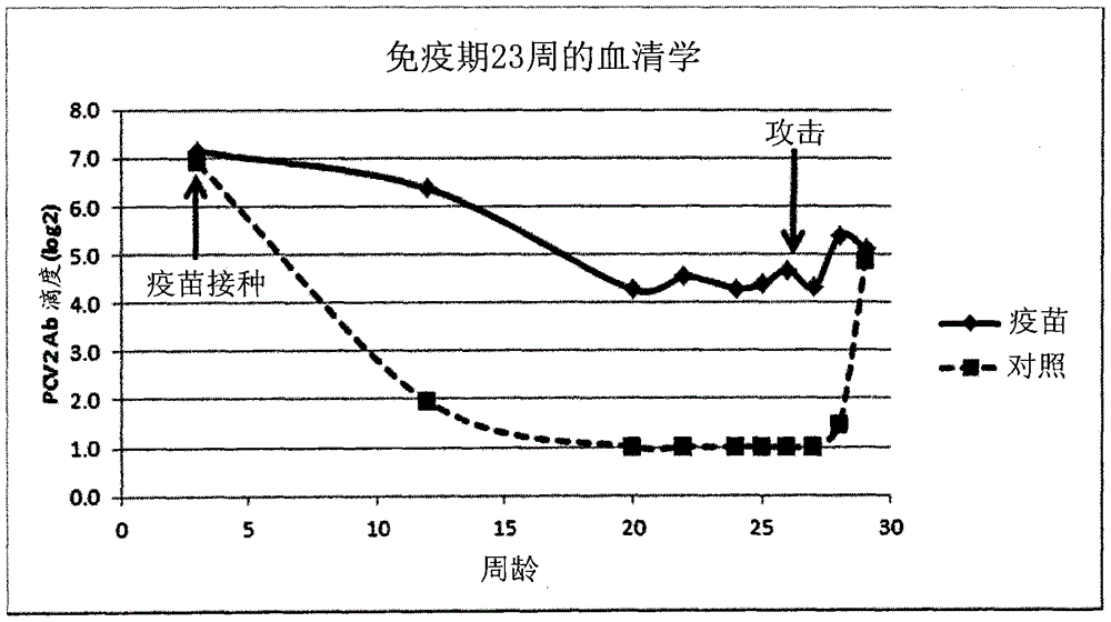 Vaccine against porcine circo virus type 2