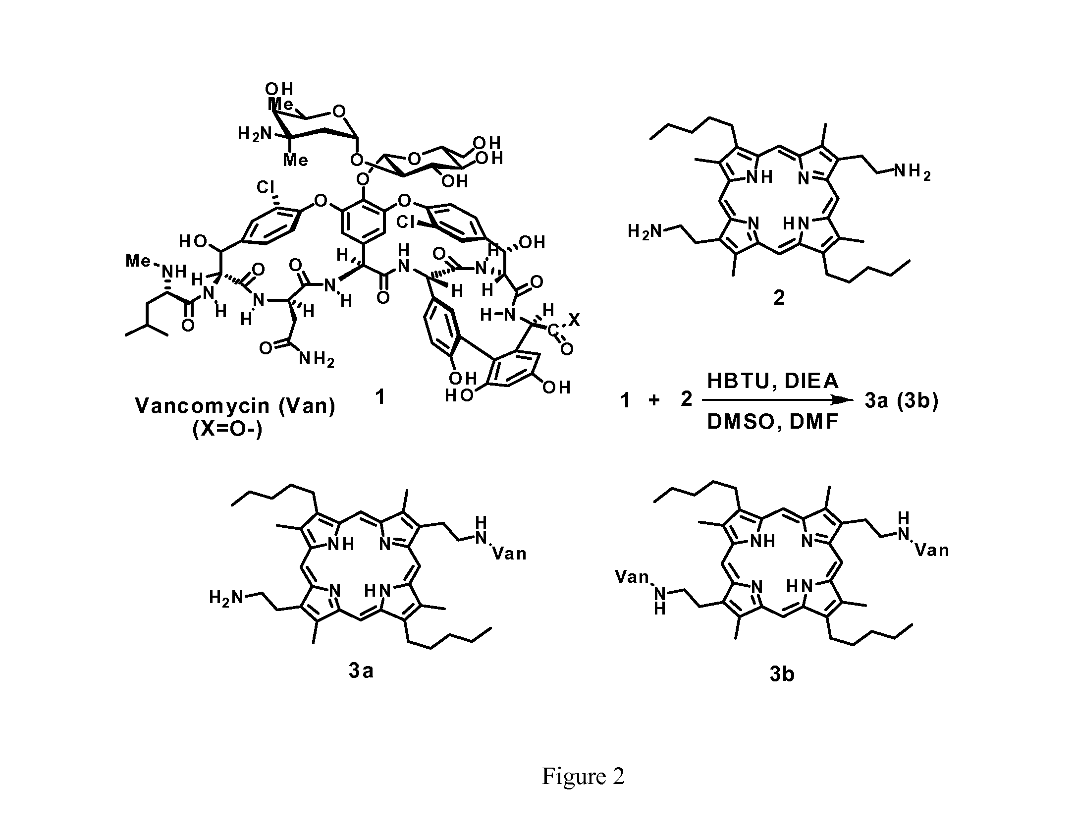 Multifunctional glycopeptide antibiotic derivatives for fluorescent imaging and photoactive antimicrobial therapy