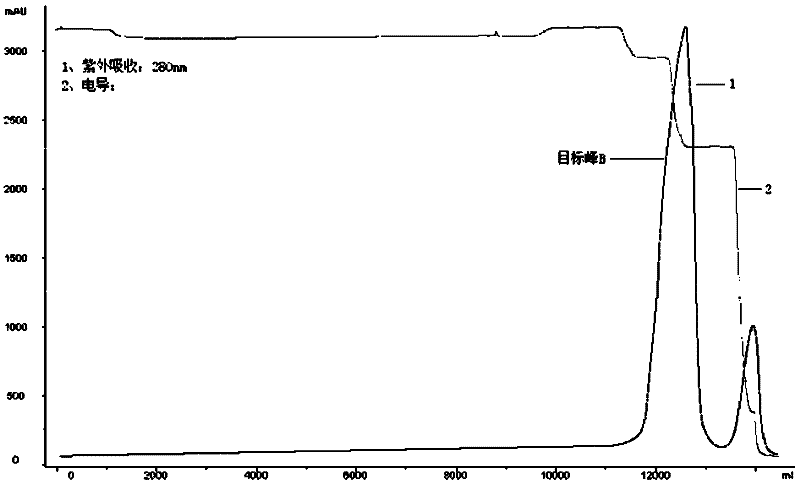 Production method for Pichia pastoris expression recombinant human interleukin 11