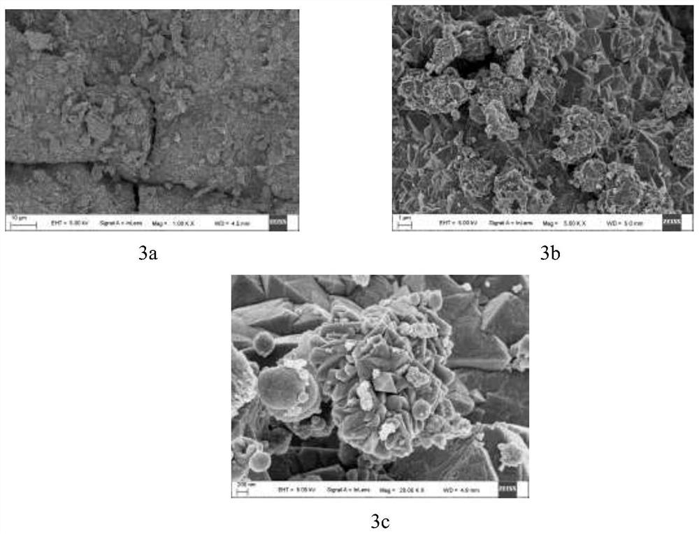 A preparation method and application of titanium grid-supported tin electrode based on high-pressure spraying method