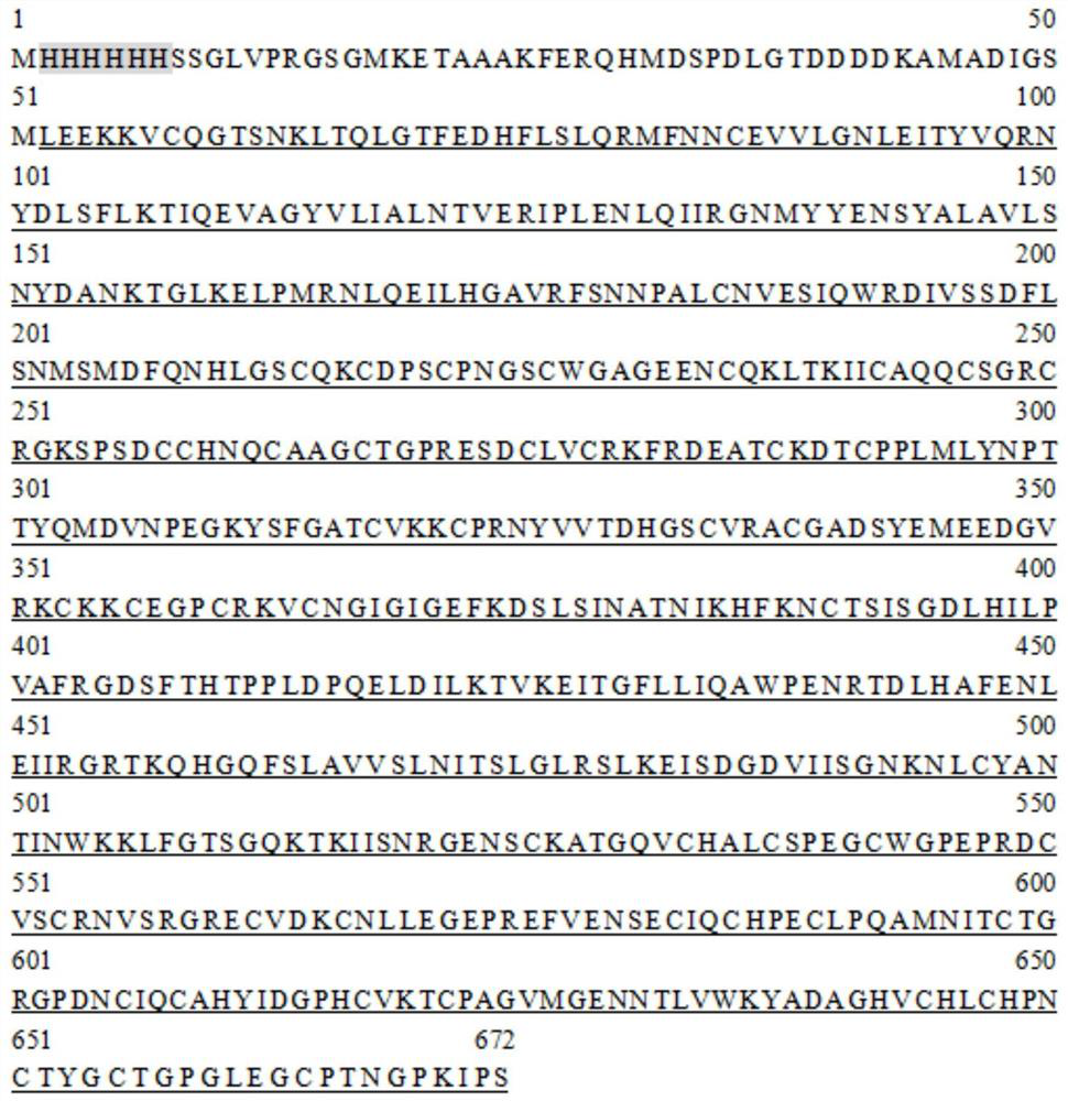 Polypeptide targeting egfr to inhibit egf to promote tumor cell proliferation