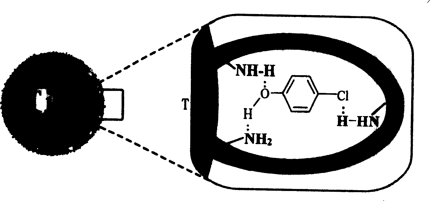 Artificial anitibody type composite photocatalyst and its preparation method