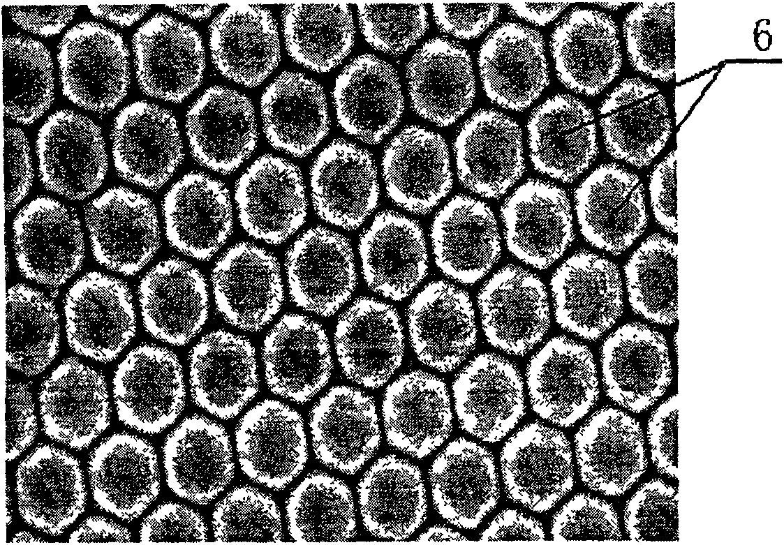 Thermal barrier coating and preparation method thereof