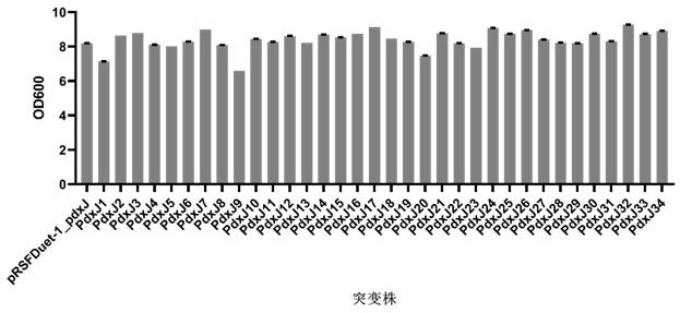 Pyridoxine phosphate synthase pdxj mutant and its application in the preparation of vitamin b6