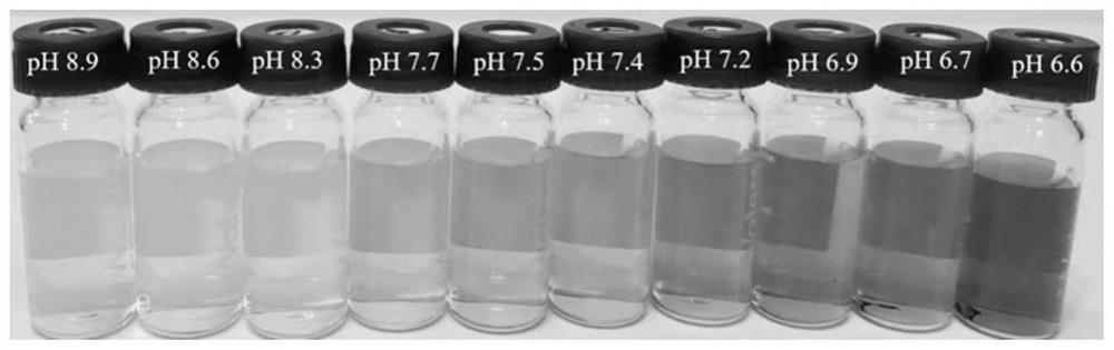 Preparation method of hydrophobic film and application of hydrophobic film in visual detection of freshness of fruit and vegetable