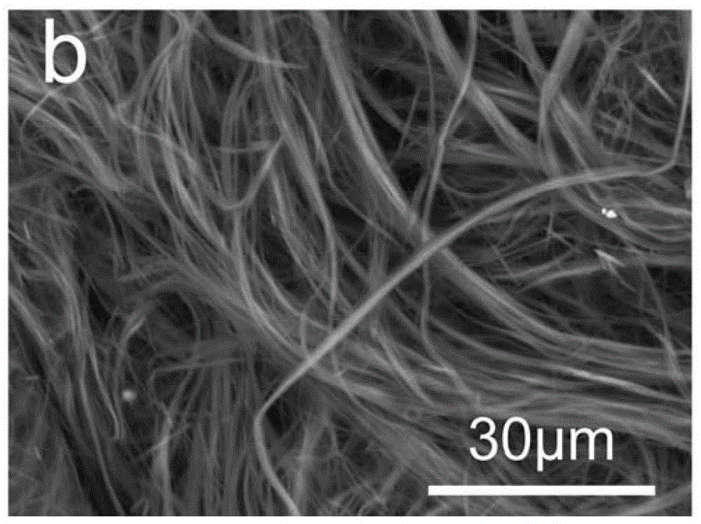 Alginate/hydroxyapatite super-long nanowire composite hydrogel