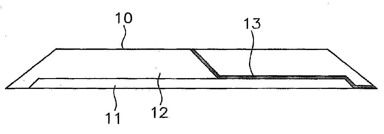 Pneumatic tire and manufacturing method of pneumatic tire