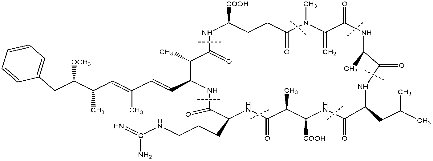 Method for extracting and purifying microcystic toxins LR and RR by taking cyanobacterial bloom in Dian Lake as raw material