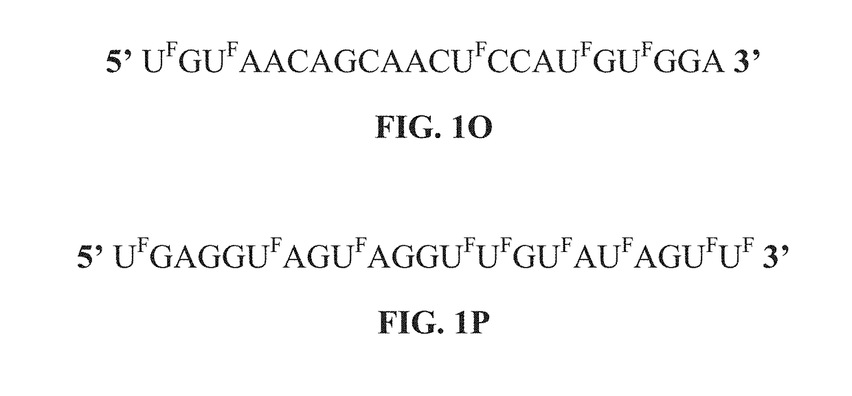 5-halouracil-modified micrornas and their use in the treatment of cancer