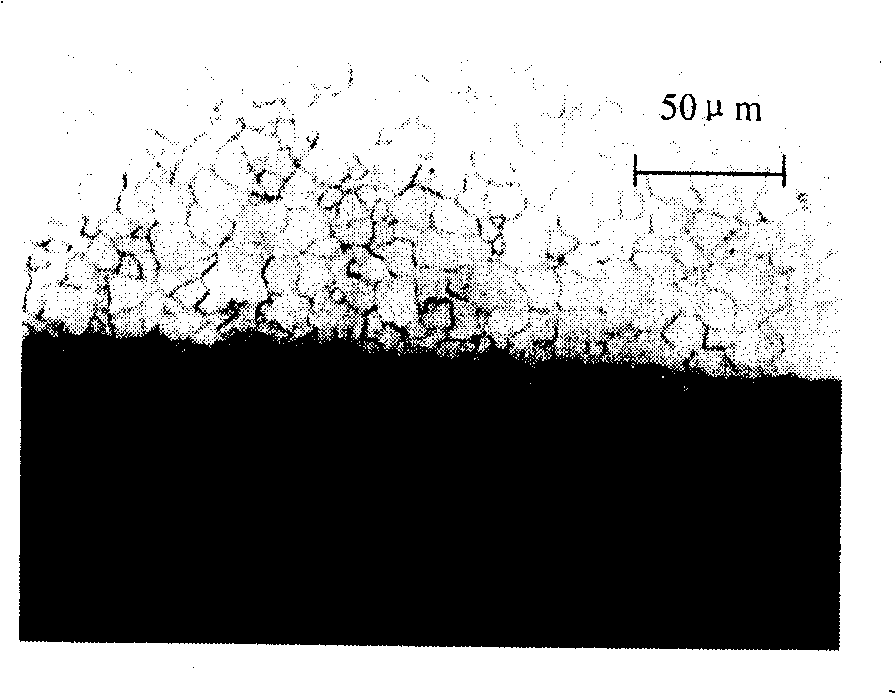 Steel plate for hot-rolled double-side enamel and method for producing same