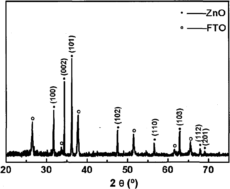 A Microwave Synthesis Method of ZnO Thin Films with Oriented Nanorod Structure