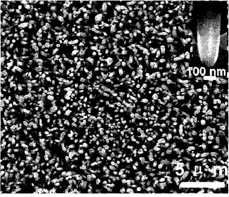 A Microwave Synthesis Method of ZnO Thin Films with Oriented Nanorod Structure