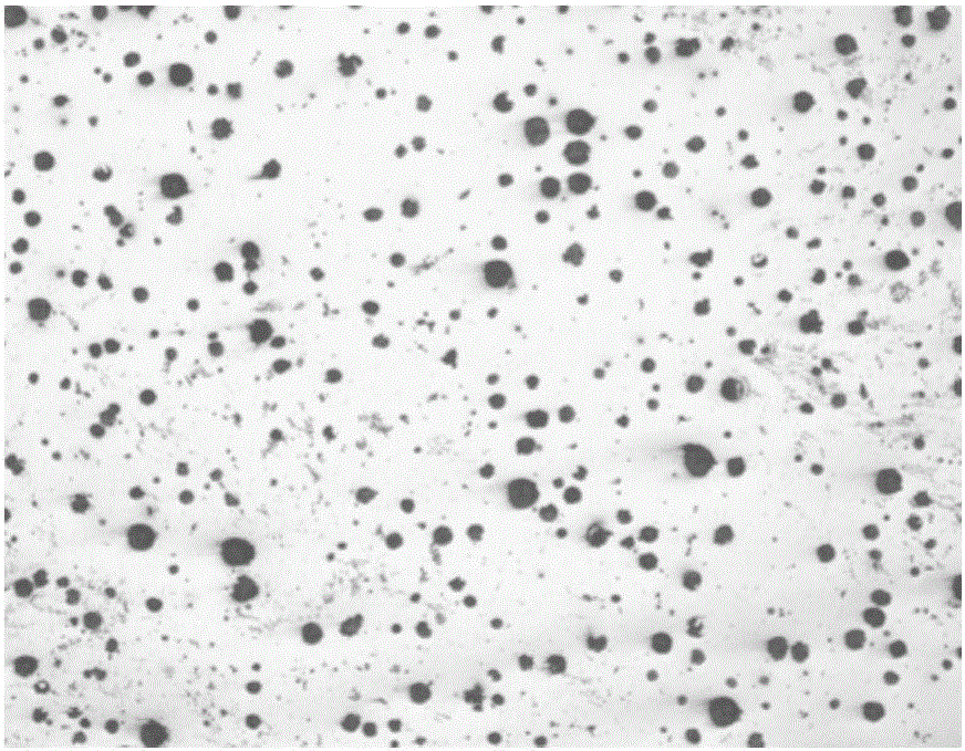 Method for controlling microporosity of large-section ductile iron casting