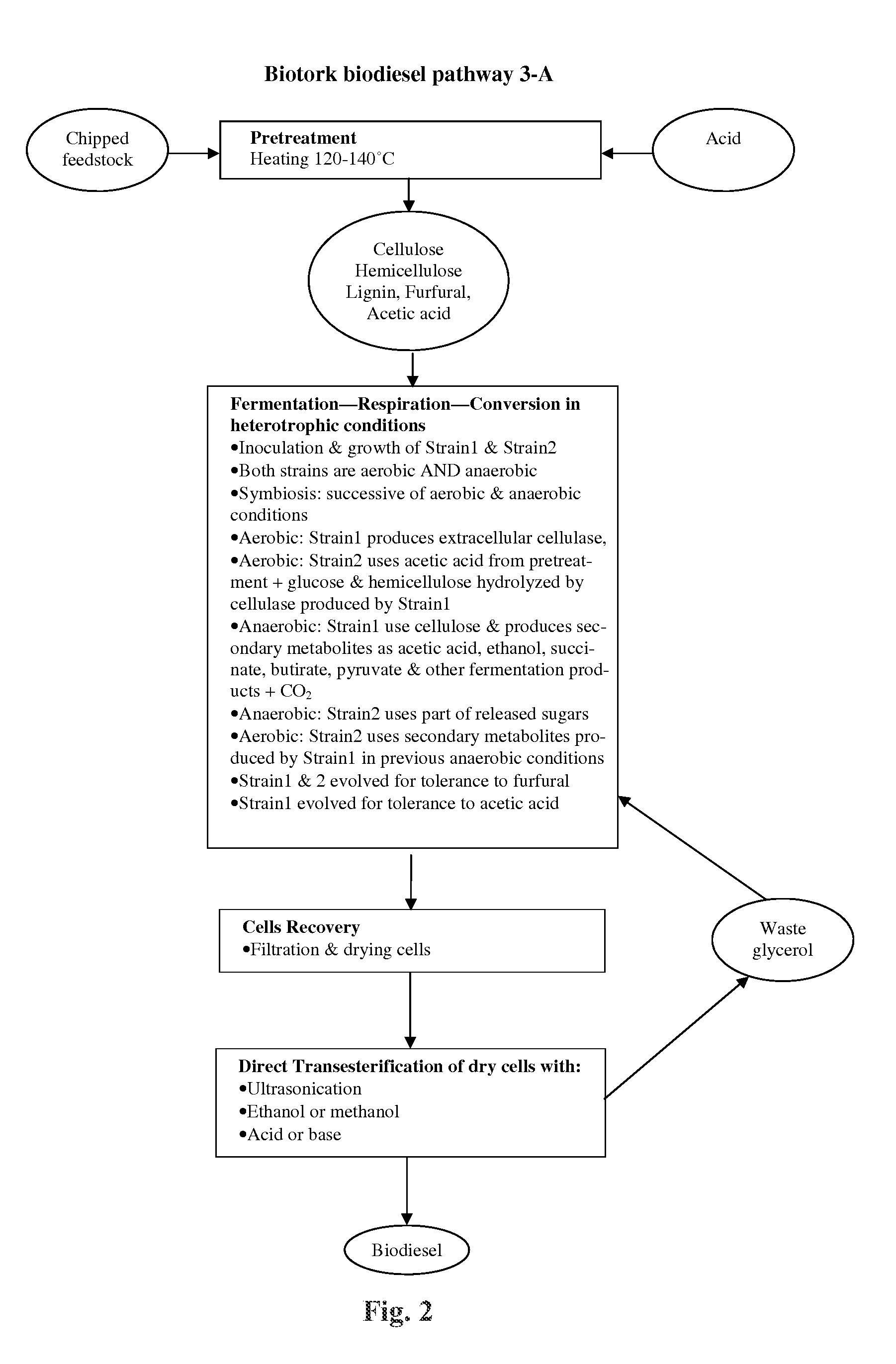 Method of producing fatty acids for biofuel, biodiesel, and other valuable chemicals