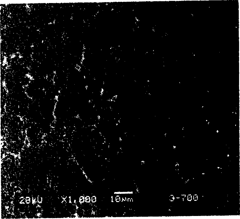 Method for rapidly sintering Nd-Fe-B ferromagnet