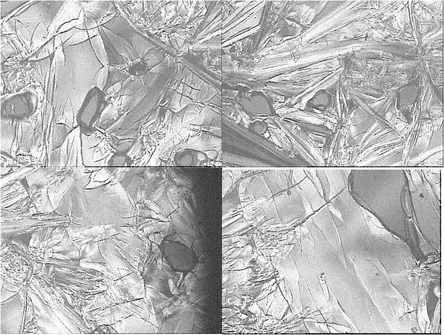 Pyrene asymmetrical double-shaft discotic liquid crystal compound and preparation method thereof