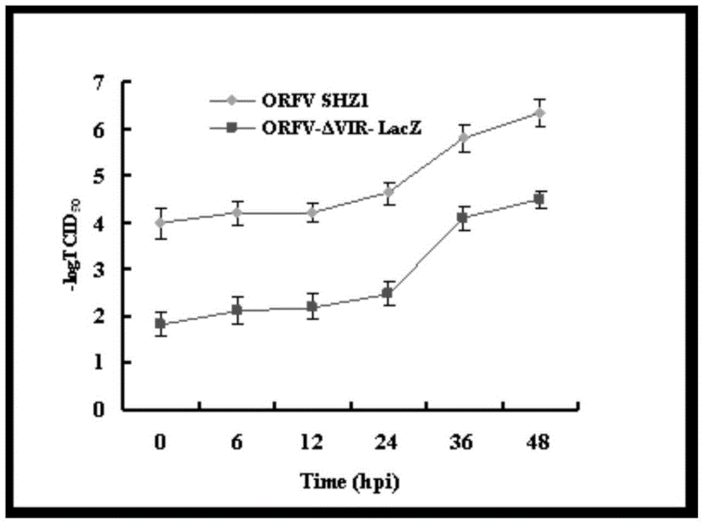 Orf virus virulence gene VIR-deleted (interferon-resistance gene deleted) mutant and its preparing method and application