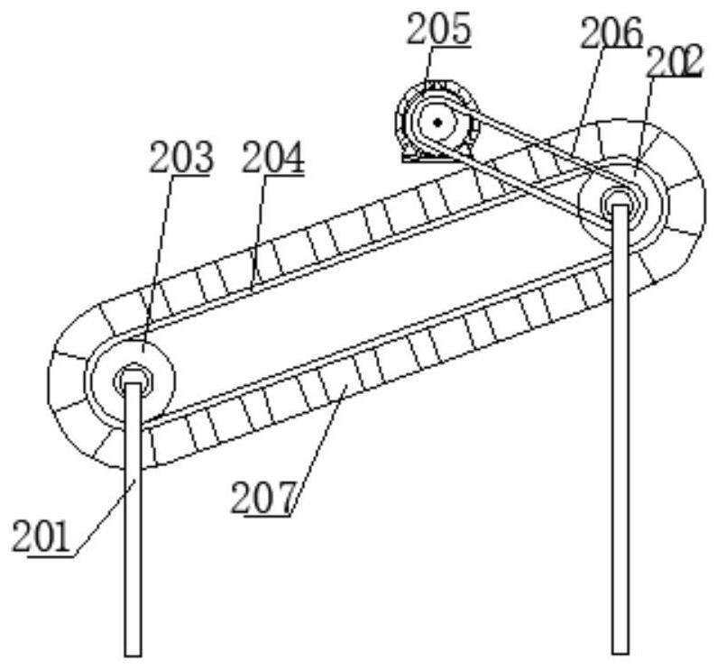 Fine processing device for sea buckthorn fruits