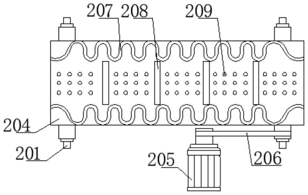 Fine processing device for sea buckthorn fruits