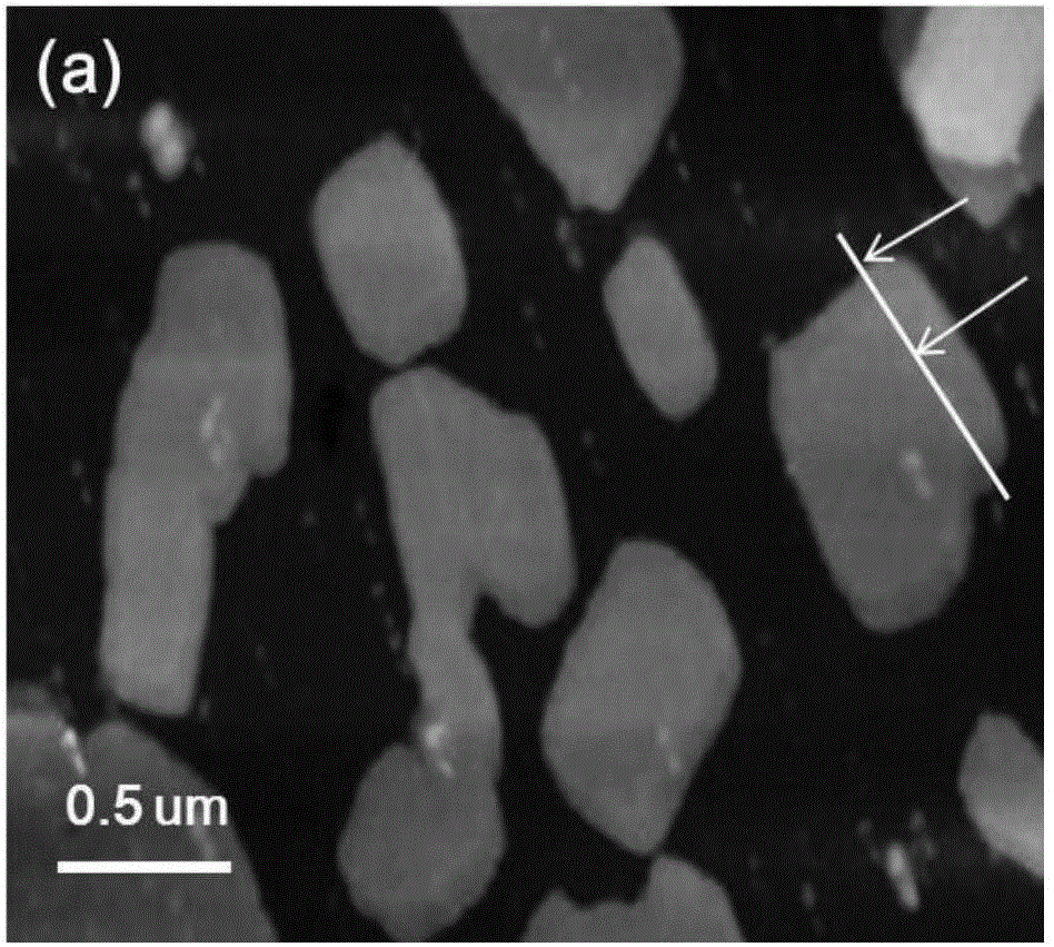 Method for polymer assisted supercritical stripping of transition metal sulfide