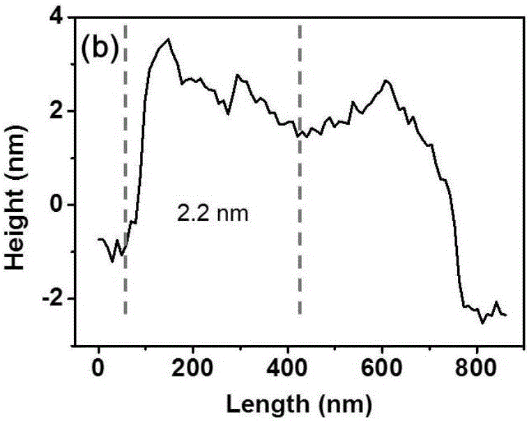 Method for polymer assisted supercritical stripping of transition metal sulfide