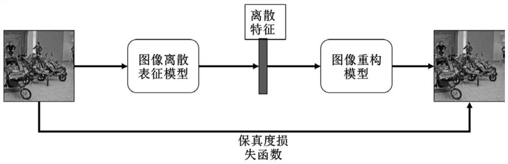 FMRI visual reconstruction method based on discrete representation and conditional autoregression