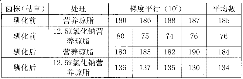 Screening method of bacillus subtilis with sodium chloride tolerance