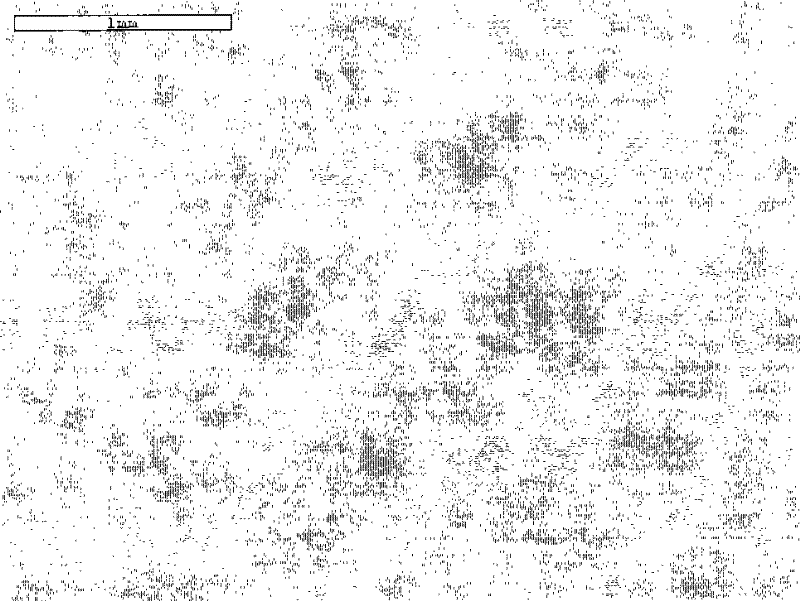 Method for nano reconstruction of surface texture of metal roller