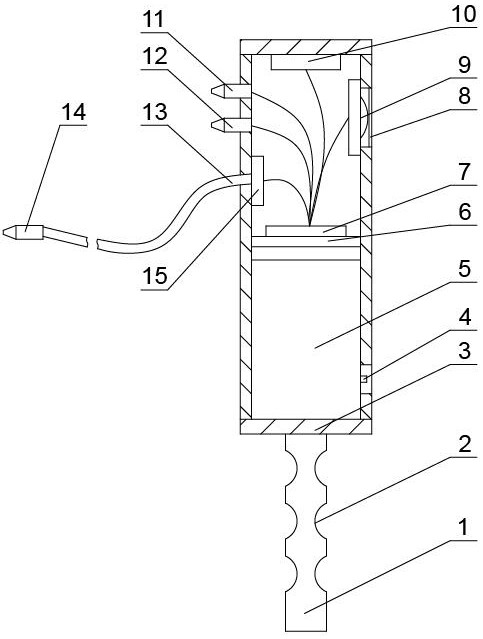 Growth information collection and analysis system and method for planting Chinese herbal medicines