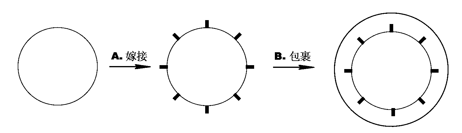 Oxygen reduction electrocatalyst and preparation method thereof