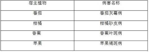 Bactericidal composition