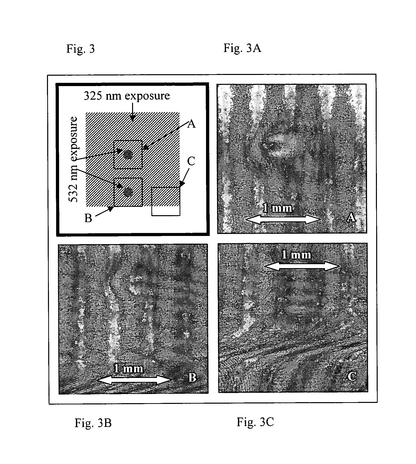 Sensitization of photo-thermo-refractive glass to visible radiation by two-step illumination