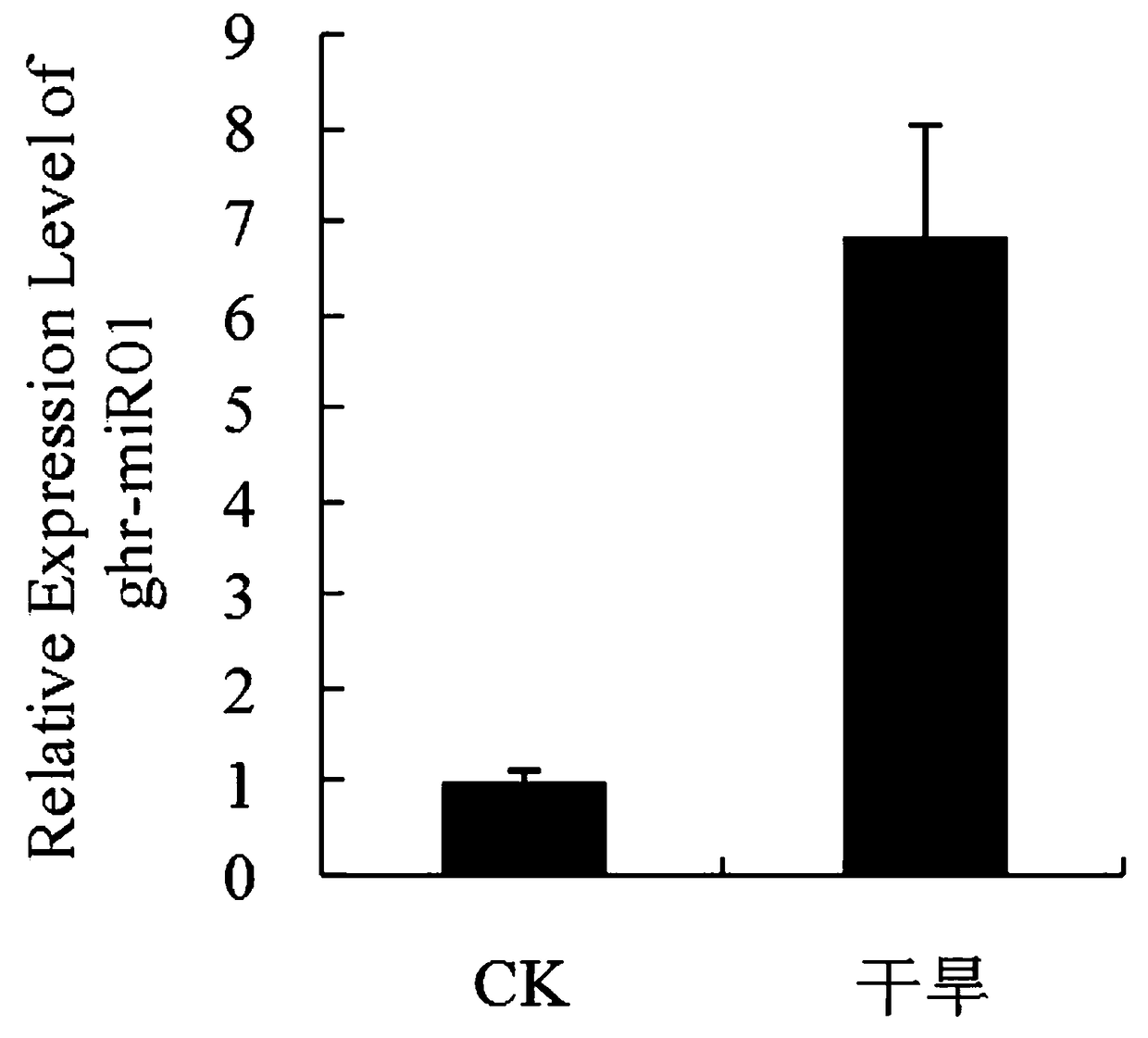 A kind of miRNA related to plant response to drought stress——ghr-mir17 and its application